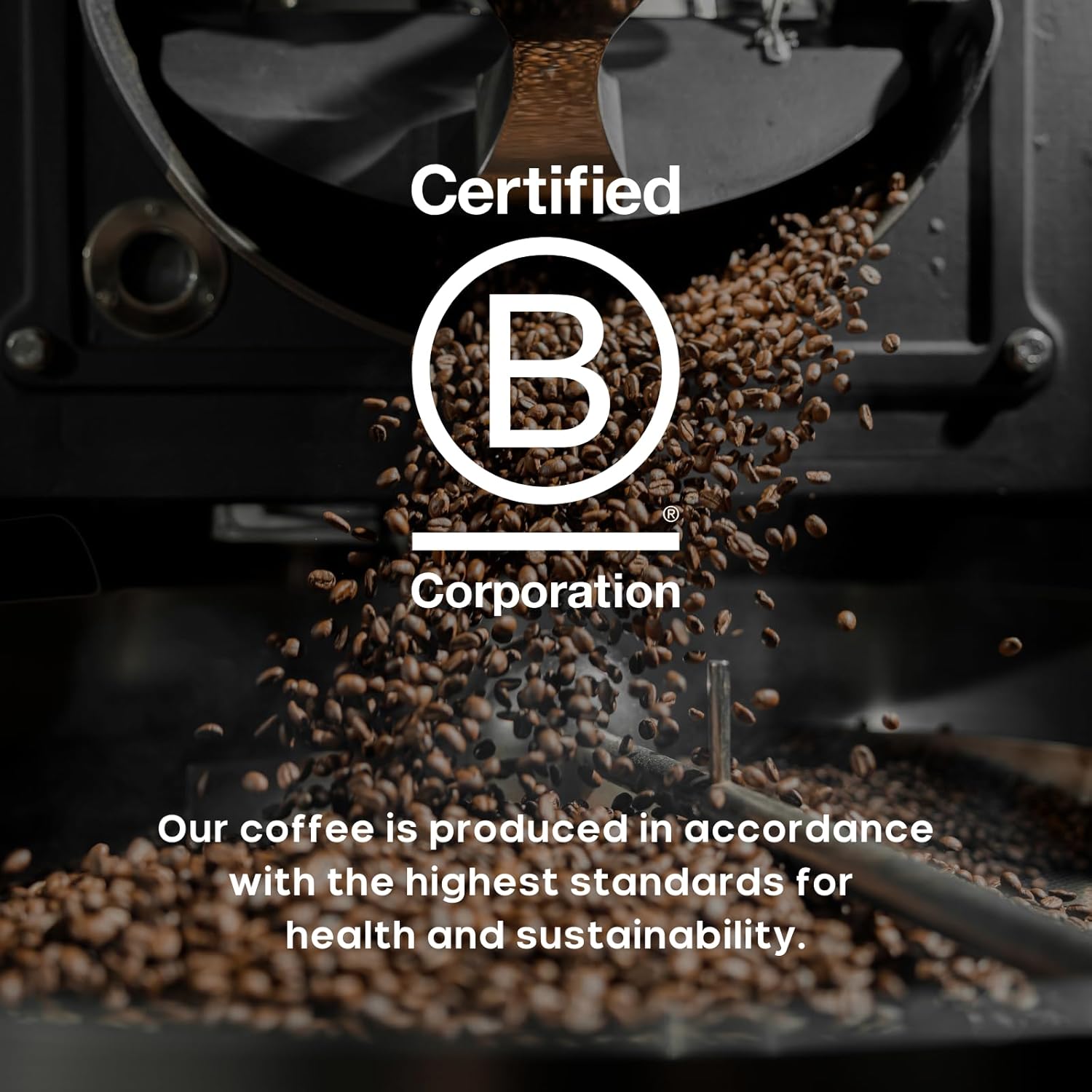 CALM Decaf Medium Roast Whole Bean Coffee – 2268g